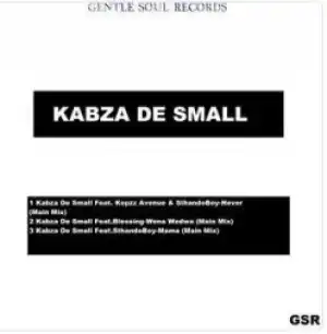 Kabza De Small - Never Ft. Kopzz Avenue & SthandoBoy